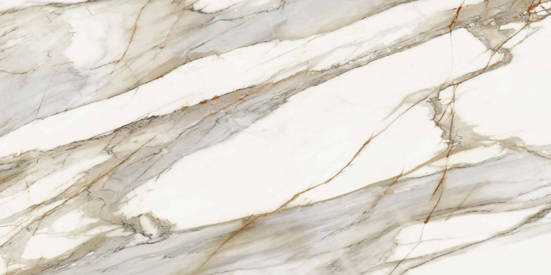 MACCHIA+VECCHIA_162x324_B_2
